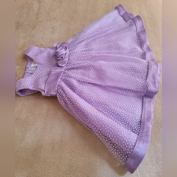 Rare Editions White Polka Dot Purple Sheer Dress Size 2T - Picture 3 of 6